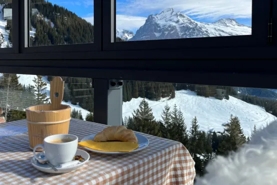 chauffeur prive chablais assure navette depuis et vers les hotels